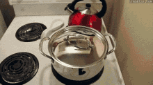 Baking Cat